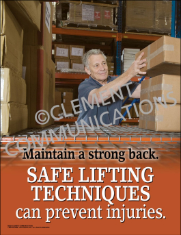 Safe Lifting Techniques can Prevent Injuries Poster