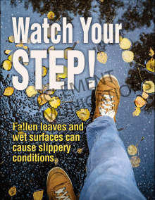 Watch Your Step Poster