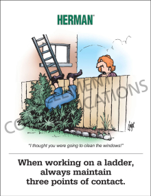 Working on a Ladder